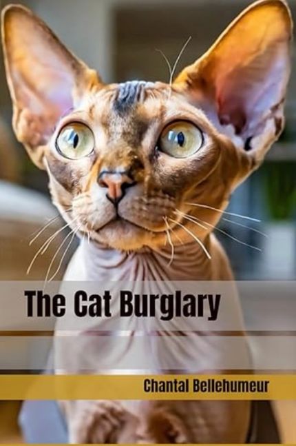 The Cat Burglary